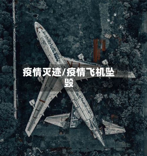 疫情灭迹/疫情飞机坠毁-第3张图片