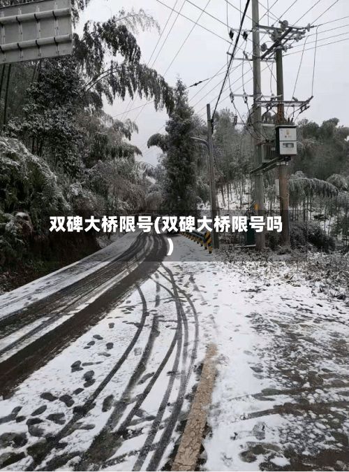 双碑大桥限号(双碑大桥限号吗)