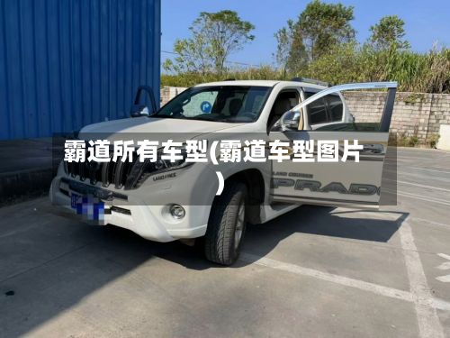 霸道所有车型(霸道车型图片)-第2张图片