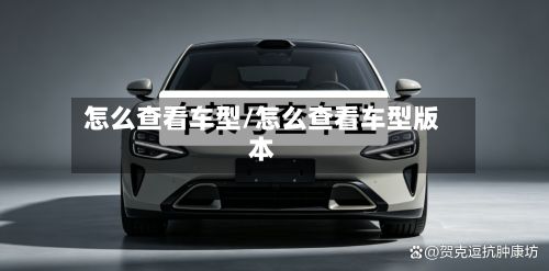 怎么查看车型/怎么查看车型版本-第2张图片