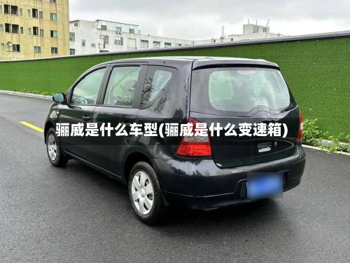 骊威是什么车型(骊威是什么变速箱)-第3张图片
