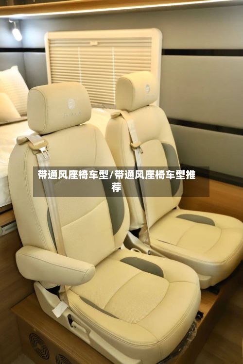 带通风座椅车型/带通风座椅车型推荐