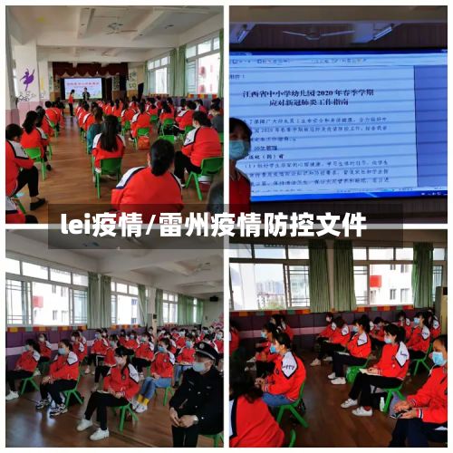 lei疫情/雷州疫情防控文件-第2张图片
