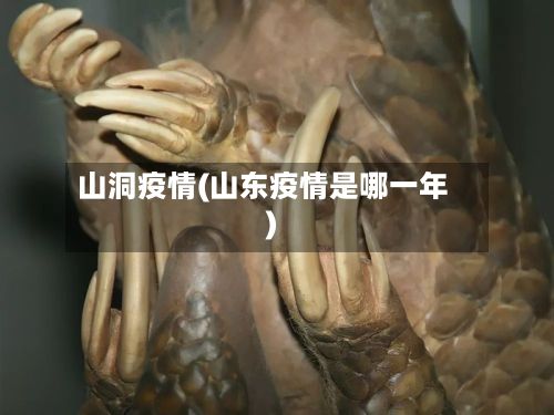 山洞疫情(山东疫情是哪一年)
