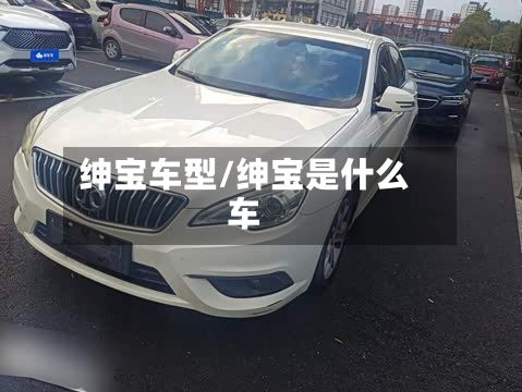 绅宝车型/绅宝是什么车-第2张图片