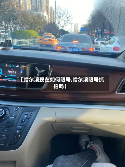【哈尔滨现在如何限号,哈尔滨限号抓拍吗】-第2张图片