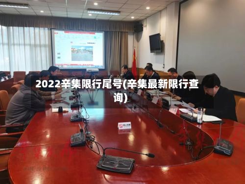 2022辛集限行尾号(辛集最新限行查询)