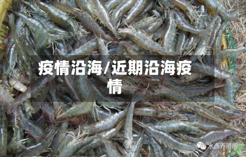疫情沿海/近期沿海疫情
