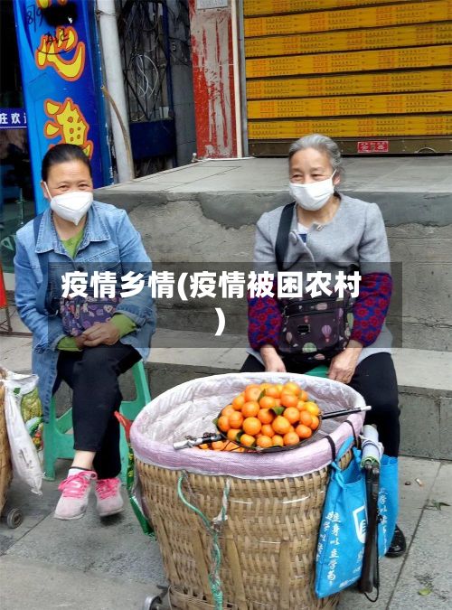 疫情乡情(疫情被困农村)-第2张图片