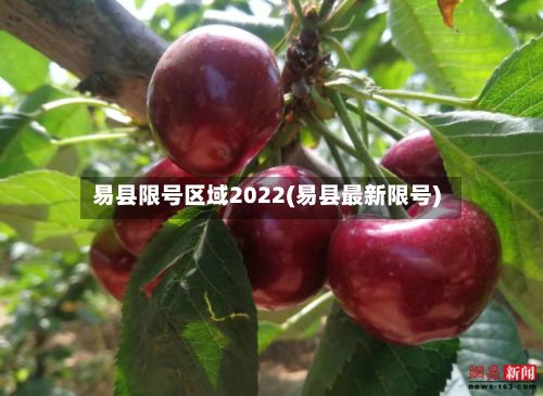 易县限号区域2022(易县最新限号)