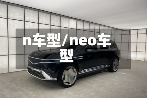 n车型/neo车型-第2张图片