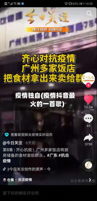 疫情独自(疫情抖音最火的一首歌)-第2张图片