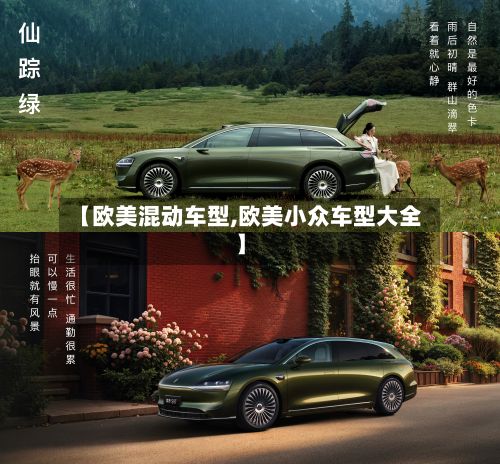 【欧美混动车型,欧美小众车型大全】