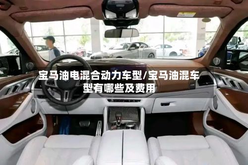 宝马油电混合动力车型/宝马油混车型有哪些及费用