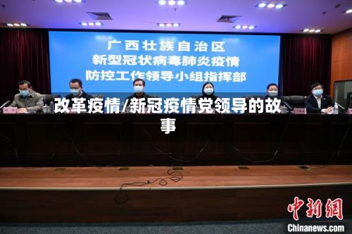 改革疫情/新冠疫情党领导的故事