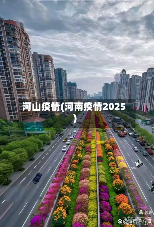 河山疫情(河南疫情2025)