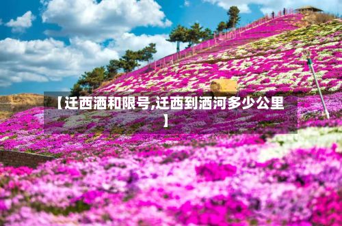【迁西洒和限号,迁西到洒河多少公里】
