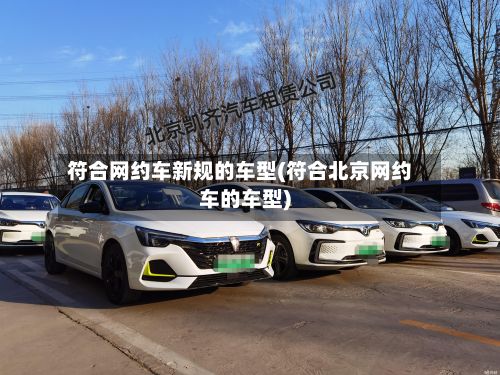 符合网约车新规的车型(符合北京网约车的车型)