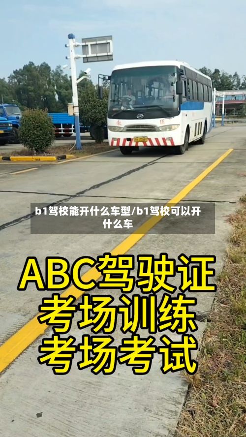 b1驾校能开什么车型/b1驾校可以开什么车-第2张图片