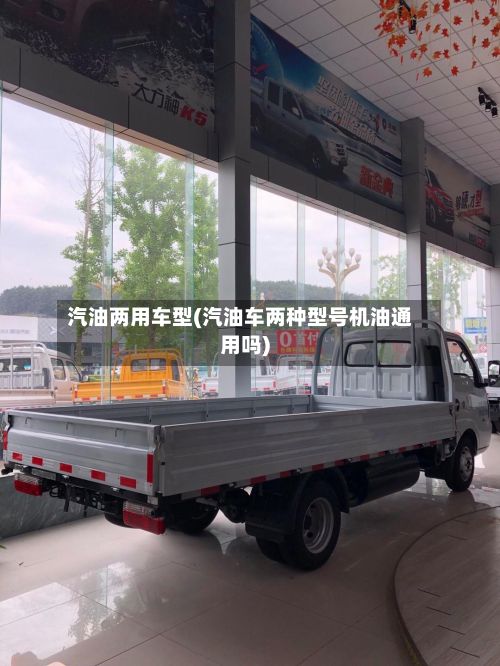 汽油两用车型(汽油车两种型号机油通用吗)