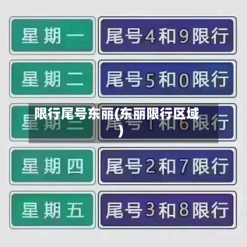限行尾号东丽(东丽限行区域)