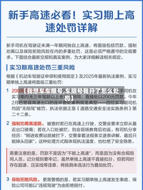 【我想车车限号,车限号我开了怎么处罚】-第3张图片