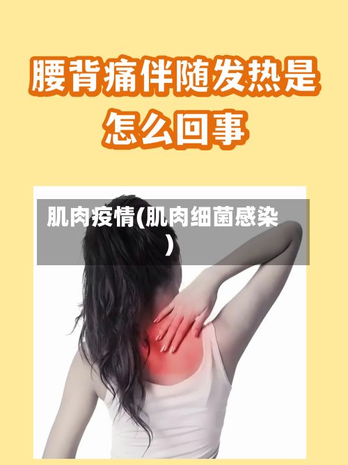 肌肉疫情(肌肉细菌感染)-第2张图片