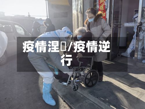疫情涅槃/疫情逆行-第2张图片