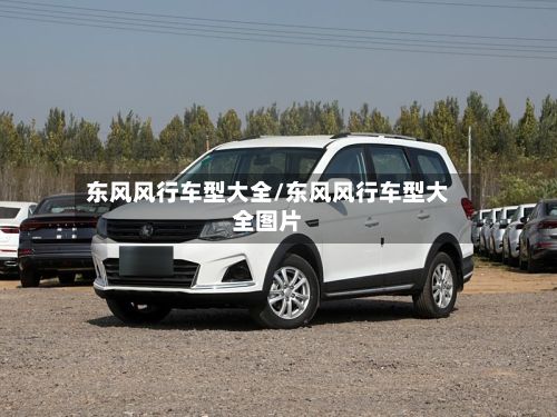 东风风行车型大全/东风风行车型大全图片-第2张图片